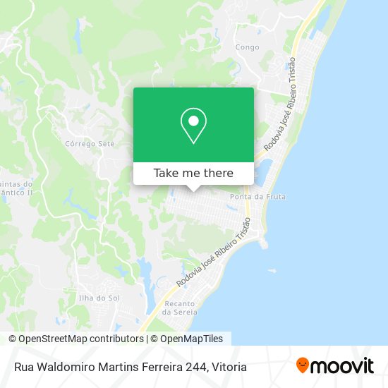 Rua Waldomiro Martins Ferreira 244 map