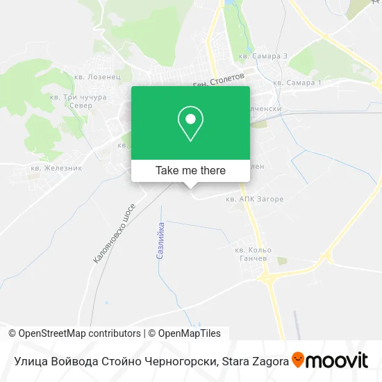 Карта Улица Войвода Стойно Черногорски