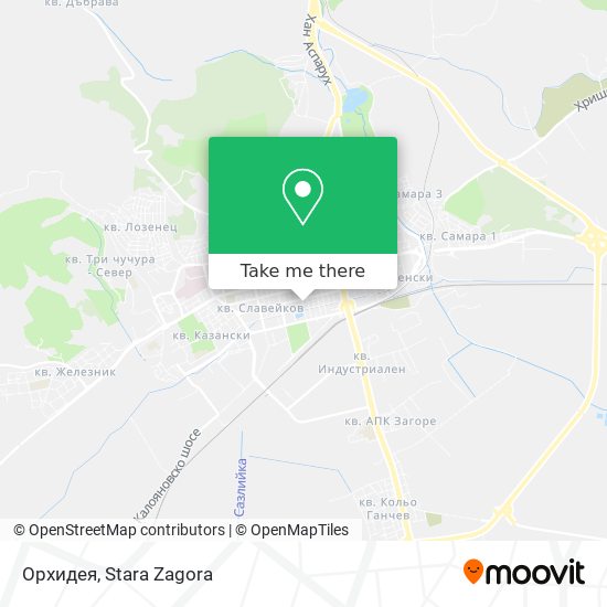 Орхидея map