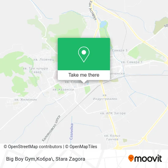 Карта Big Boy Gym,Кобра\