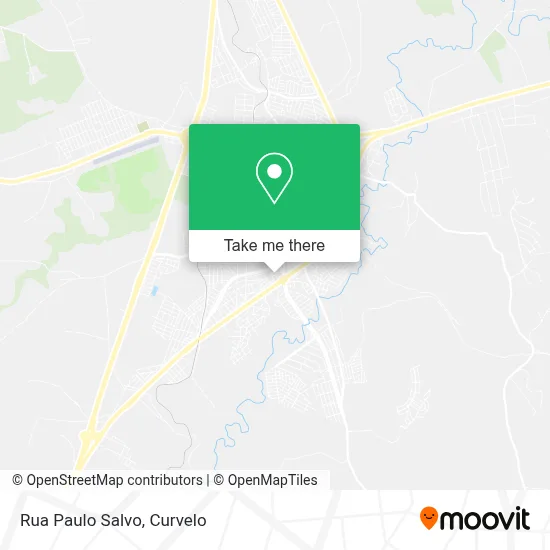 Rua Paulo Salvo map