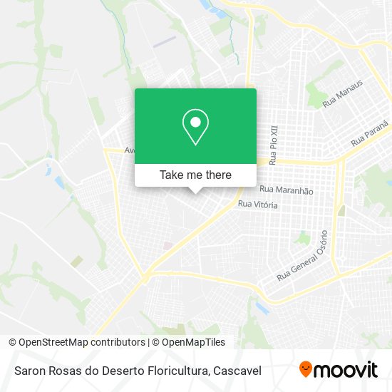 Saron Rosas do Deserto Floricultura map