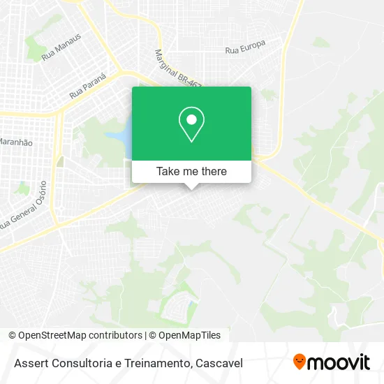Assert Consultoria e Treinamento map