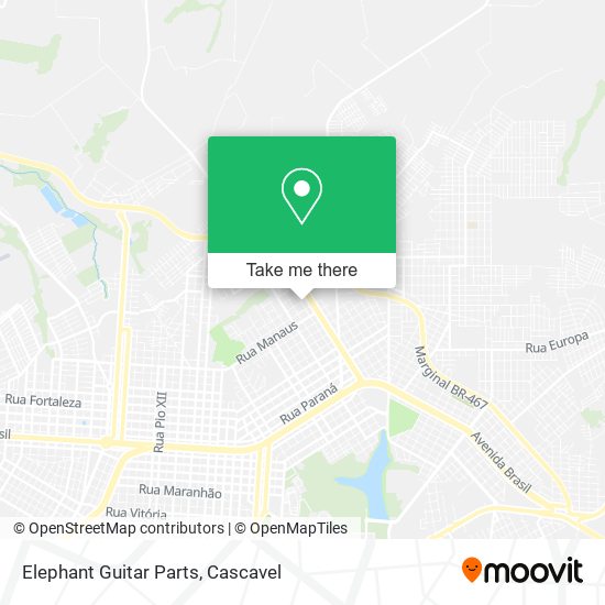 Elephant Guitar Parts map