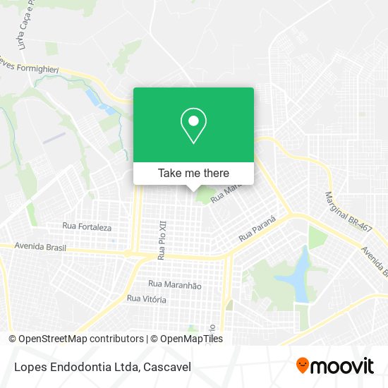 Lopes Endodontia Ltda map