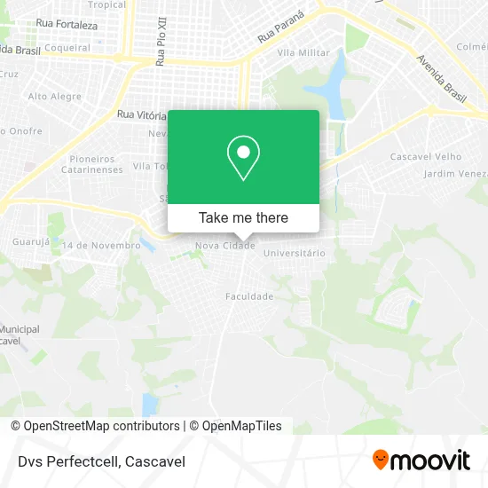 Dvs Perfectcell map