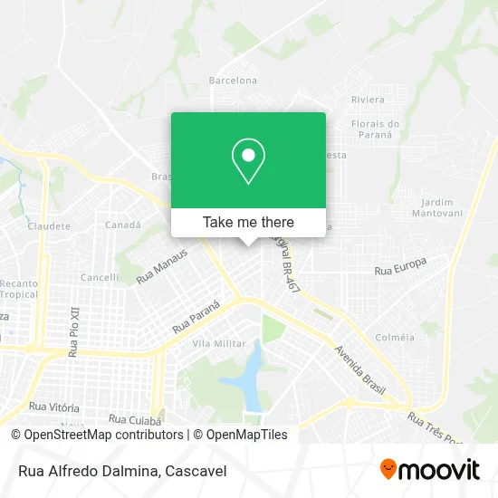 Rua Alfredo Dalmina map