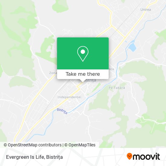 Evergreen Is Life map