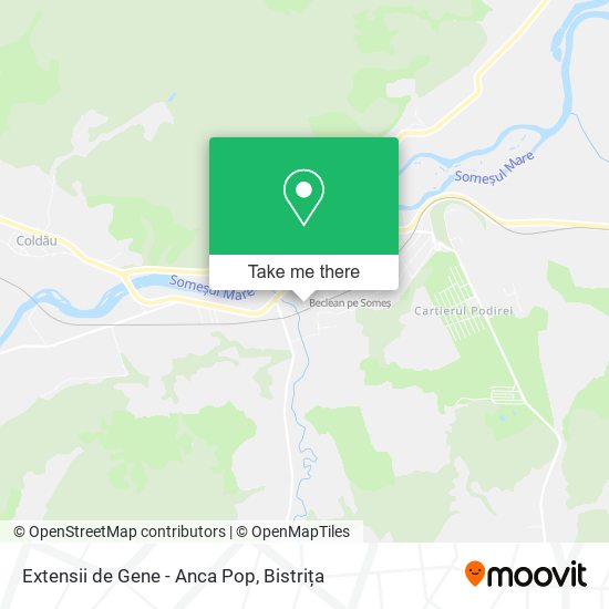 Extensii de Gene - Anca Pop map