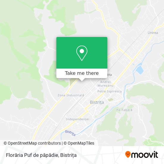 Florăria Puf de păpădie map
