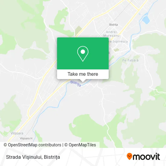 Strada Vişinului map