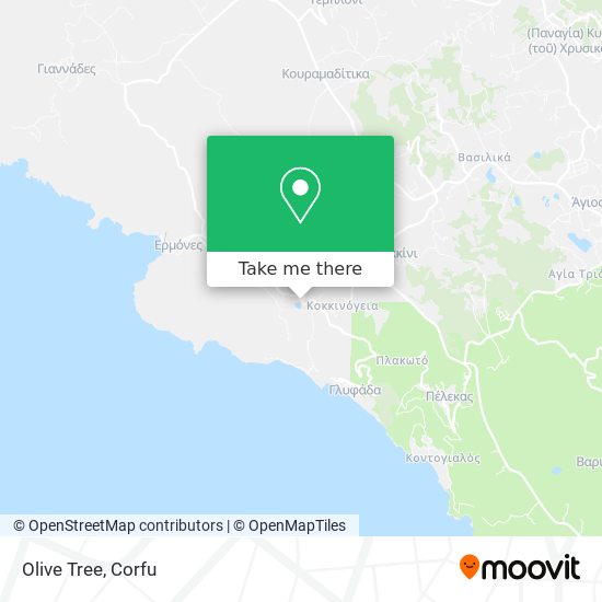 Olive Tree map