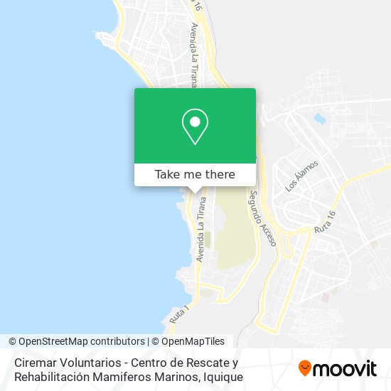 Mapa de Ciremar Voluntarios - Centro de Rescate y Rehabilitación Mamiferos Marinos