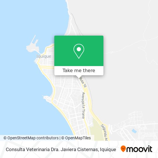 Consulta Veterinaria Dra. Javiera Cisternas map