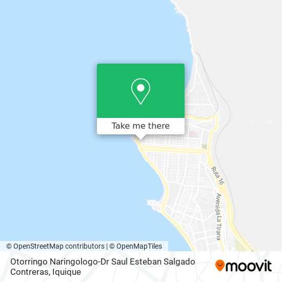 Mapa de Otorringo Naringologo-Dr Saul Esteban Salgado Contreras