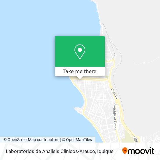 Mapa de Laboratorios de Analisis Clinicos-Arauco