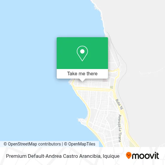 Premium Default-Andrea Castro Arancibia map