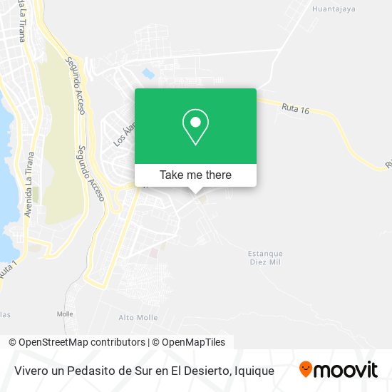 Vivero un Pedasito de Sur en El Desierto map