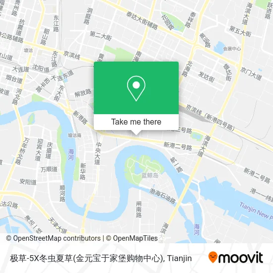 极草-5X冬虫夏草(金元宝于家堡购物中心) map