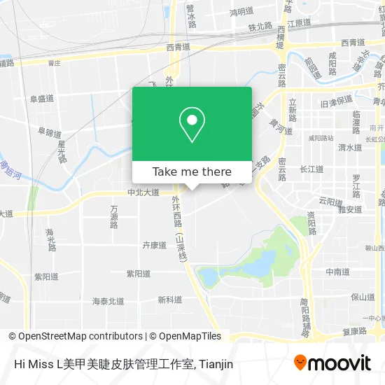 Hi Miss L美甲美睫皮肤管理工作室 map