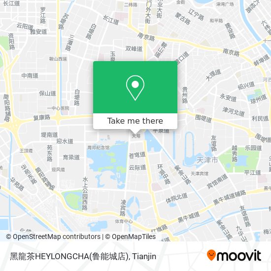 黑龍茶HEYLONGCHA(鲁能城店) map