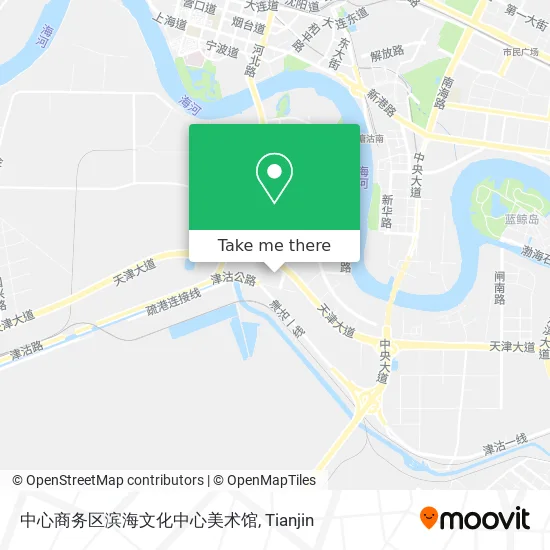 中心商务区滨海文化中心美术馆 map