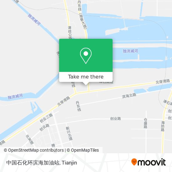 中国石化环滨海加油站 map