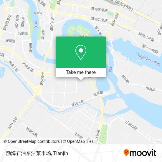 渤海石油东沽菜市场 map