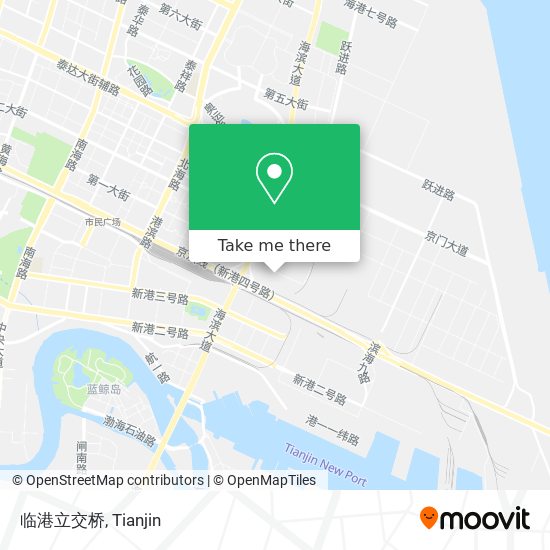 临港立交桥 map