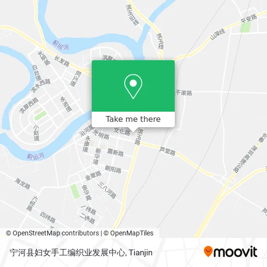 宁河县妇女手工编织业发展中心 map