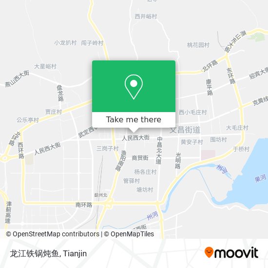 龙江铁锅炖鱼 map