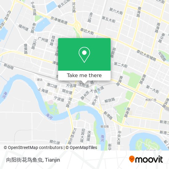 向阳街花鸟鱼虫 map