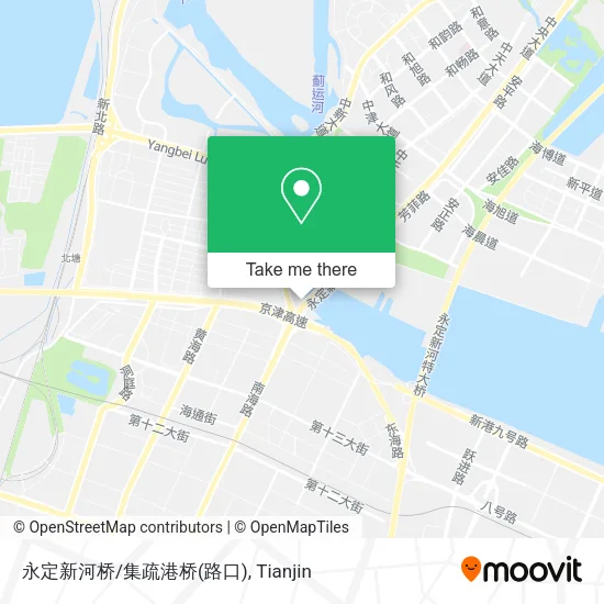 永定新河桥/集疏港桥(路口) map
