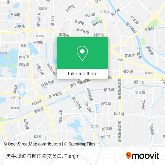 黑牛城道与柳江路交叉口 map