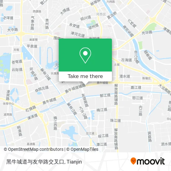 黑牛城道与友华路交叉口 map