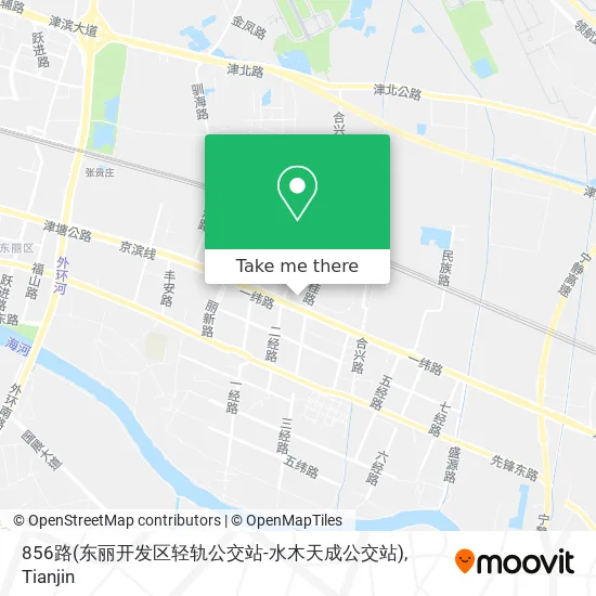 856路(东丽开发区轻轨公交站-水木天成公交站) map