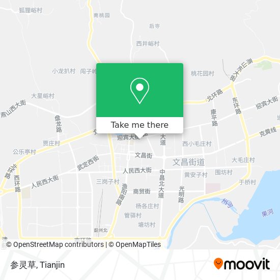 参灵草 map