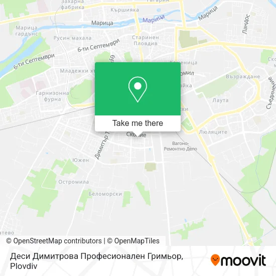 Карта Деси Димитрова Професионален Гримьор