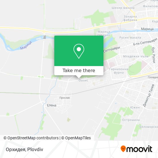 Орхидея map
