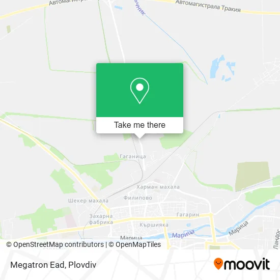 Megatron Ead map