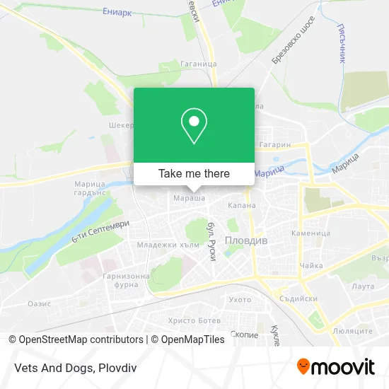 Vets And Dogs map