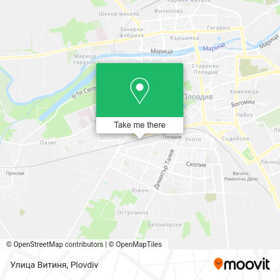 Карта Улица Витиня