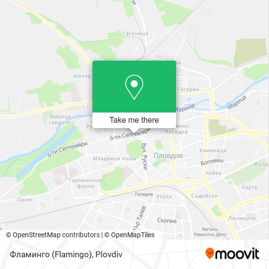 Фламинго (Flamingo) map