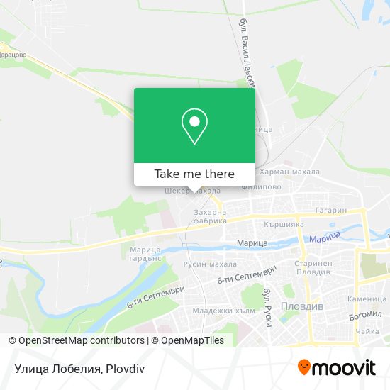 Улица Лобелия map