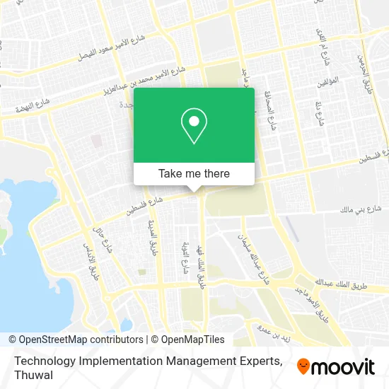 Technology Implementation Management Experts map