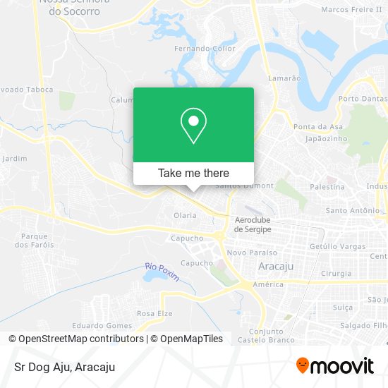 Mapa Sr Dog Aju