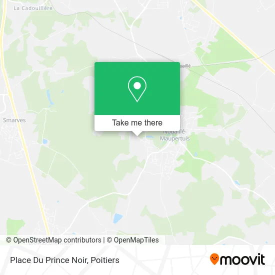Place Du Prince Noir map
