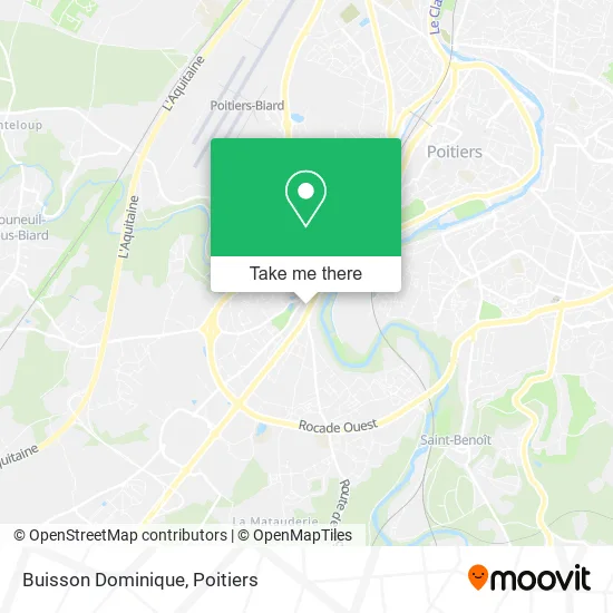Buisson Dominique map