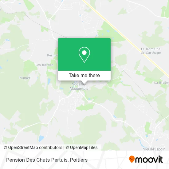 Pension Des Chats Pertuis map