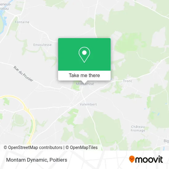 Montam Dynamic map
